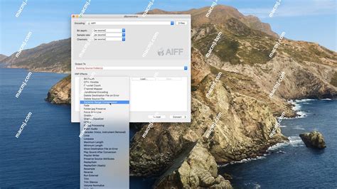 DBpoweramp Video Converter R2025-01-17
